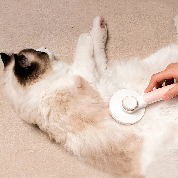 Brosse Magique Pour Chien Et Chat