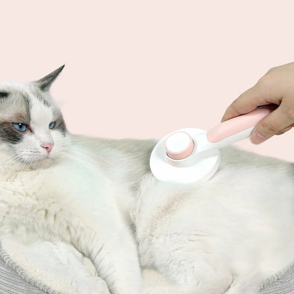 Brosse Magique Pour Chien Et Chat