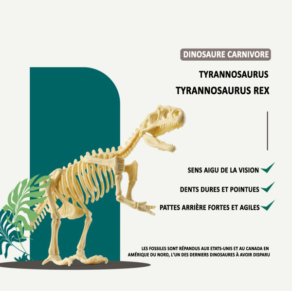 Kit De Fouille Archéologique - Jouet Squelette De Dinosaure
