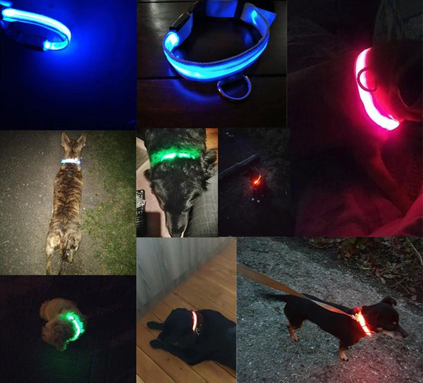 Collier Lumineux Pour Chien