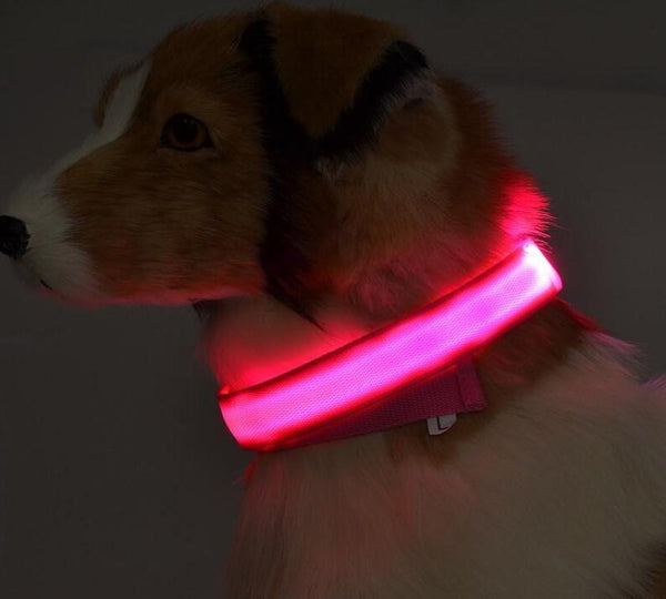 Collier Lumineux Pour Chien