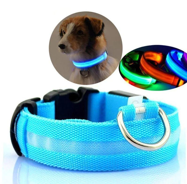 Collier Lumineux Pour Chien