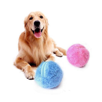 Jouet Magique Roller Ball pour chien