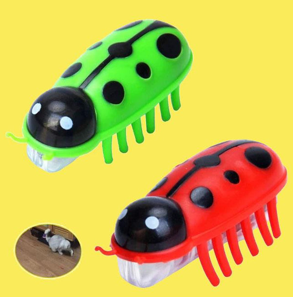 Jouet Robot Insecte Pour Chat