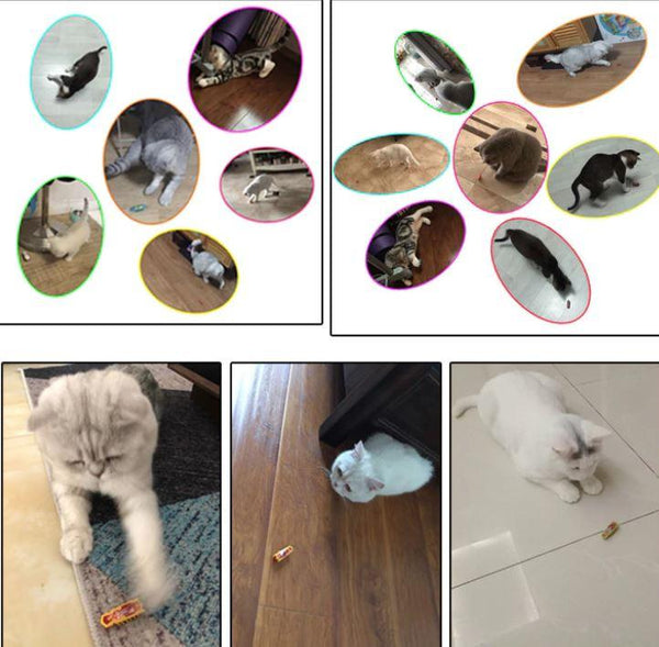 Jouet Robot Insecte Pour Chat