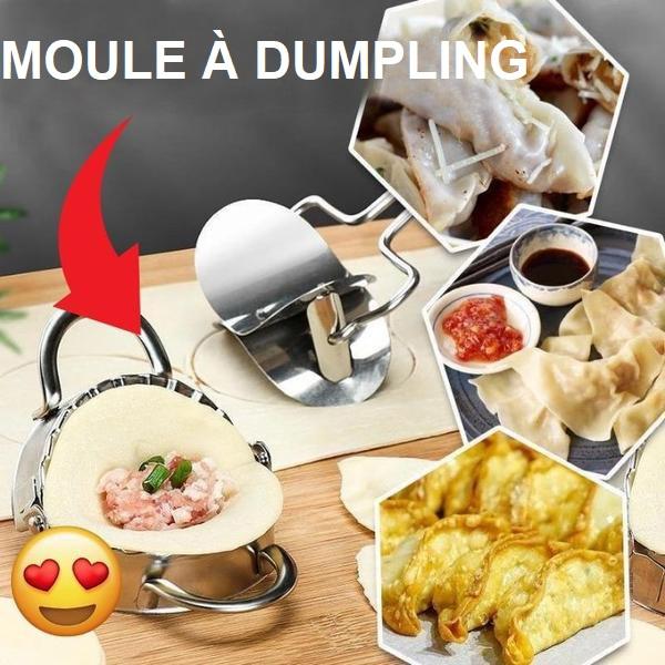 Moule à Dumpling - Raviolis Demi-lune