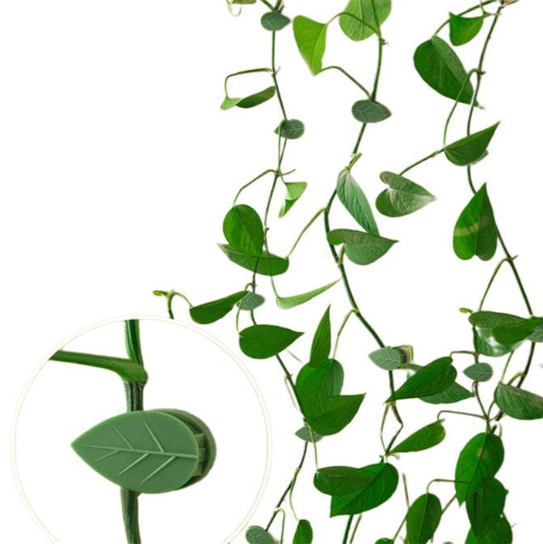 Support Mural Pour Plantes